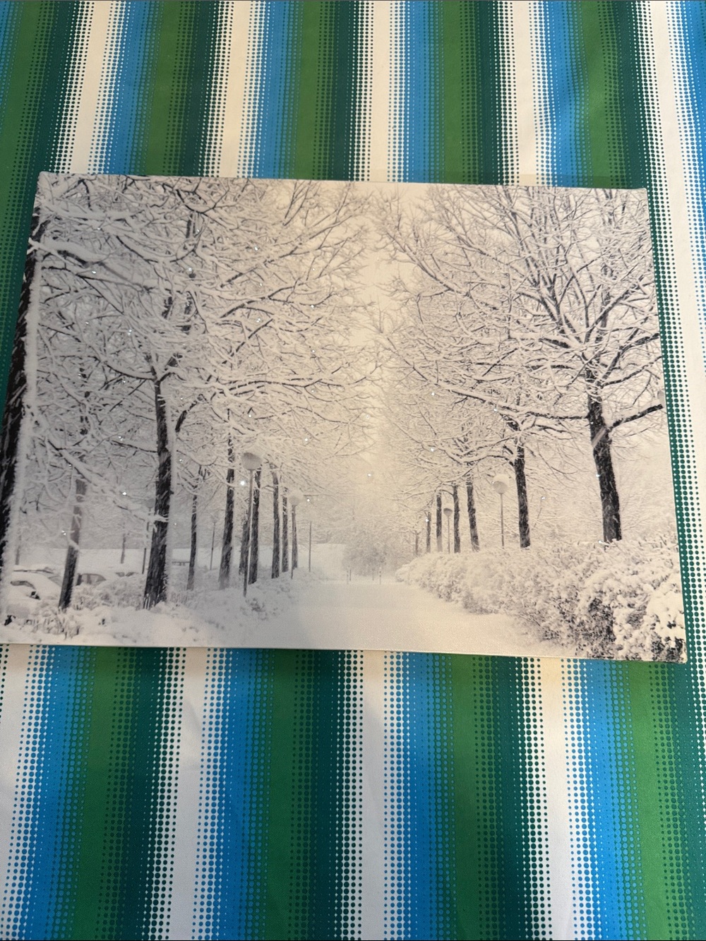 Black & White Winter Tree Canvas Wall Art with Lights like snow falling